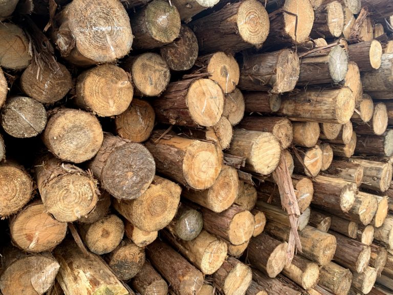 水田建設は『木のいえづくりプロジェクト』に参加しています。 水田建設は『木のいえづくりプロジェクト』に参加しています。